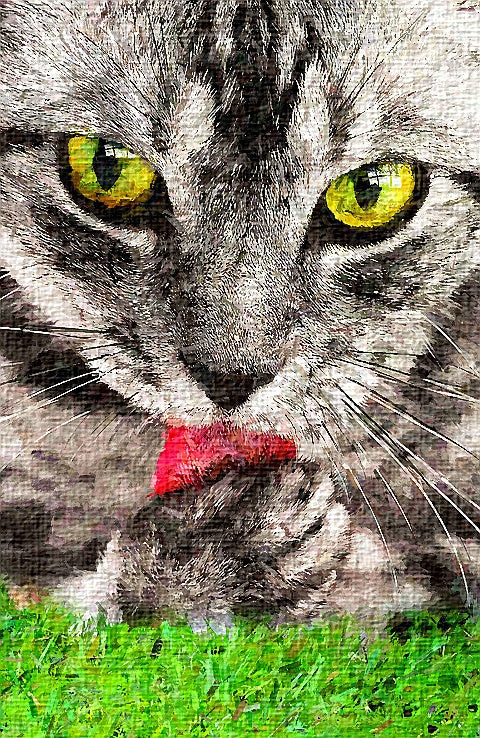 A Cat's Culinary Caper;The Fish Heist and the Tidy Cleanup